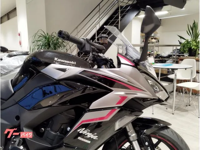 Kawasaki Ninja 1000 SX 2025 — миниатюра 4