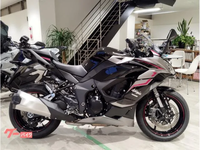 Kawasaki Ninja 1000 SX 2025 — фото 1, купить с доставкой в Москву