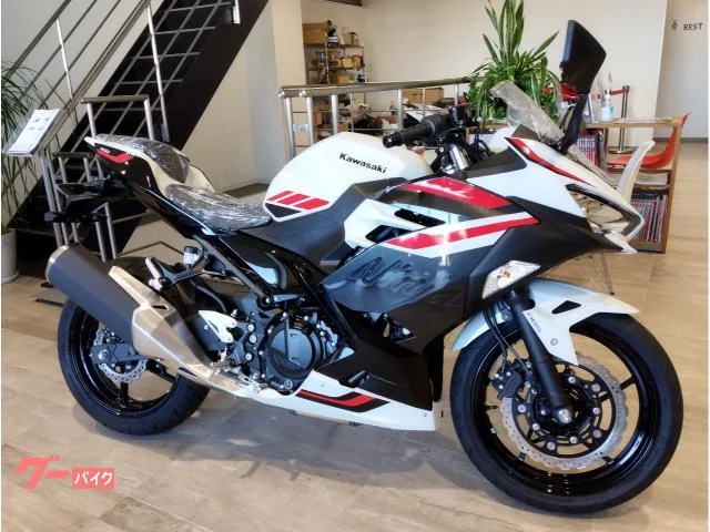 Kawasaki Ninja 400 2026 — миниатюра 2