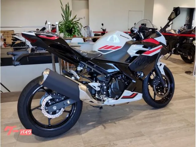 Kawasaki Ninja 400 2026 — миниатюра 3