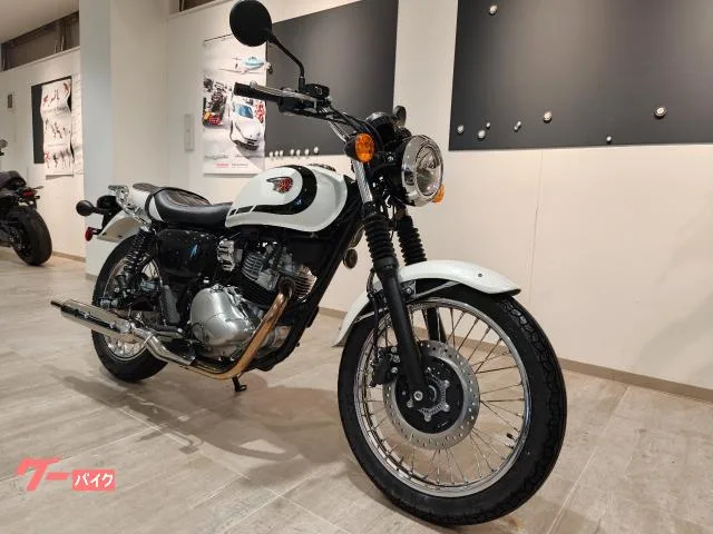 Kawasaki W230 2025 — миниатюра 2