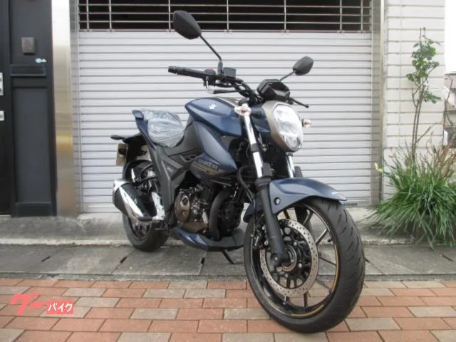 Suzuki GIXXER 250 2024 — миниатюра 2