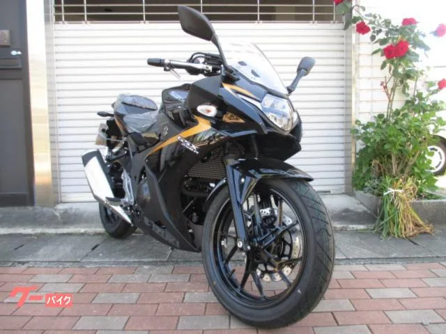 Suzuki GSX250R ABS 2025 — миниатюра 2