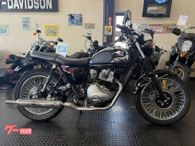 Kawasaki S1 2025 — миниатюра 2