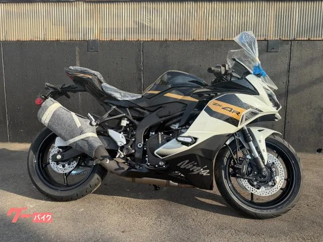 Kawasaki Ninja ZX-4R SE 2026 — миниатюра 2