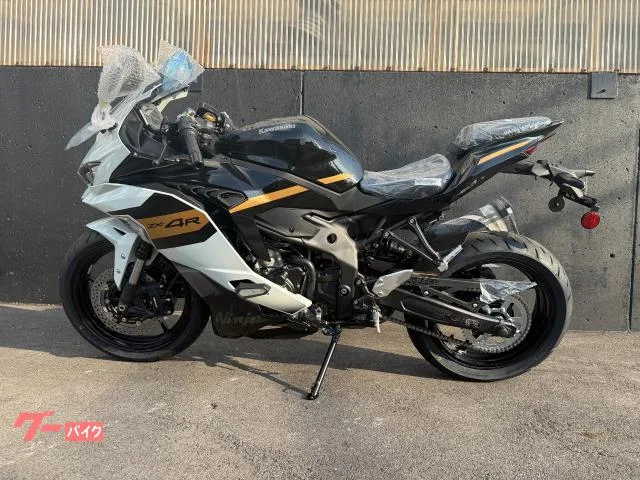 Kawasaki Ninja ZX-4R SE 2026 — миниатюра 3