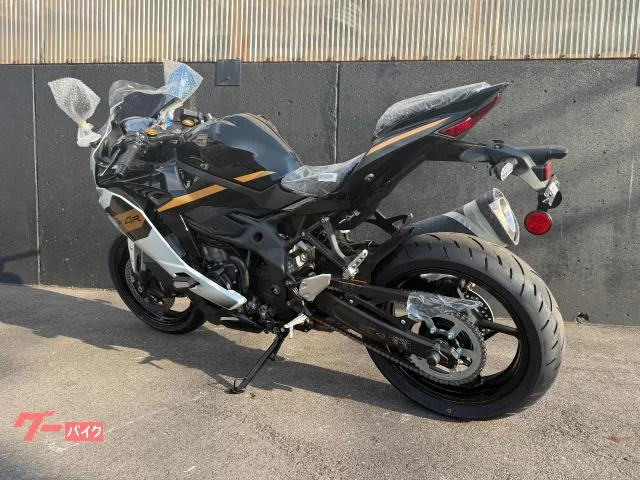Kawasaki Ninja ZX-4R SE 2026 — миниатюра 4