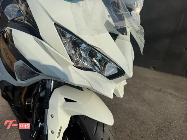 Kawasaki Ninja ZX-4R SE 2026 — миниатюра 5