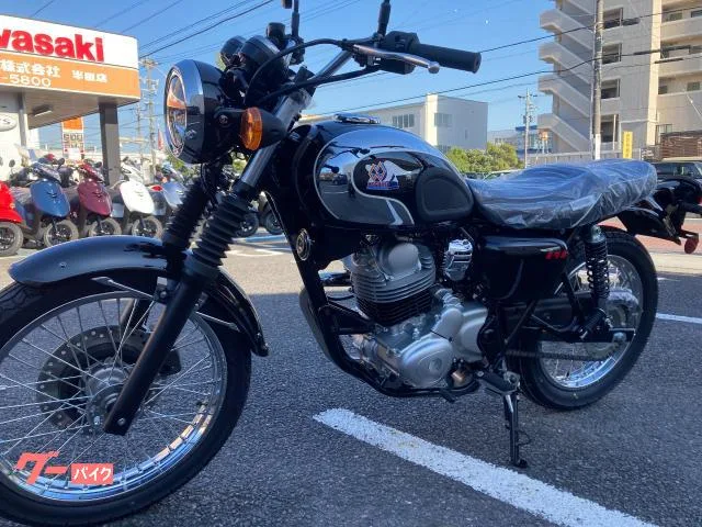 Kawasaki S12025 2025 — миниатюра 4