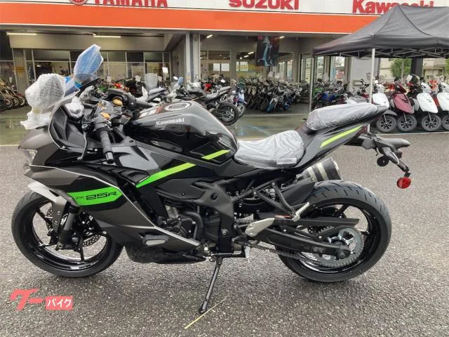 Kawasaki Ninja ZX-25R SE 2026 2026 — миниатюра 2