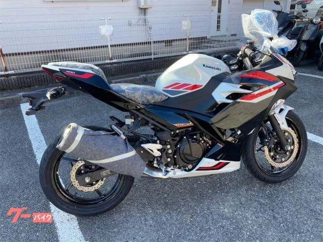 Kawasaki Ninja 4002026 2026 — миниатюра 2