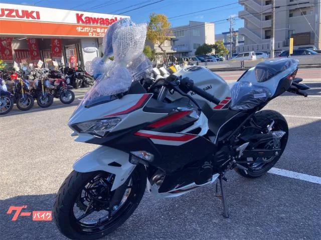 Kawasaki Ninja 4002026 2026 — миниатюра 4
