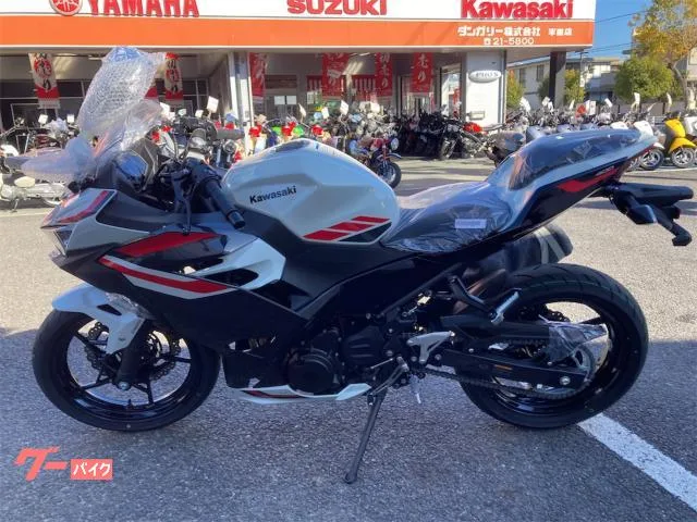 Kawasaki Ninja 4002026 2026 — миниатюра 5