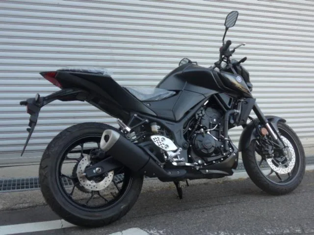 Yamaha MT-25 2023 — миниатюра 2