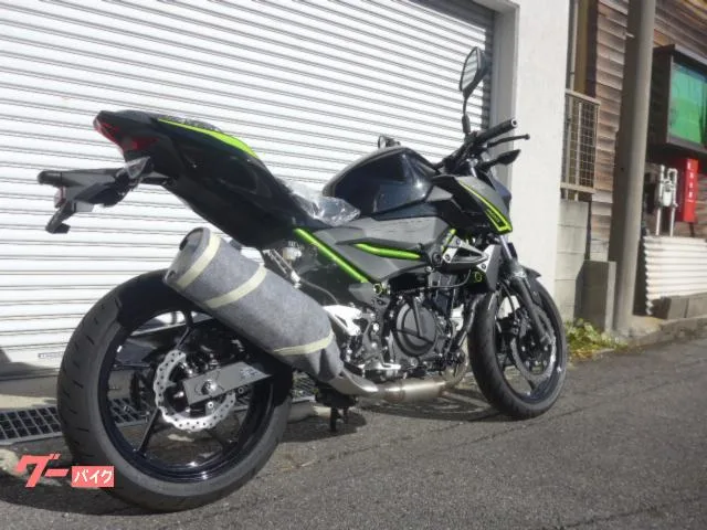 Kawasaki Z400 2023 — миниатюра 2