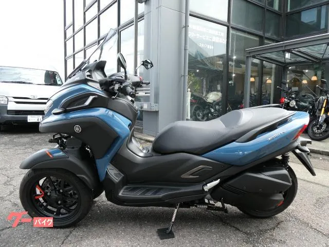 Yamaha 300// 2022 — миниатюра 5
