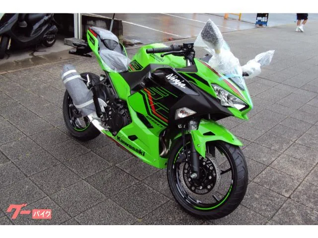 Kawasaki Ninja 250 2024 2024 — миниатюра 2