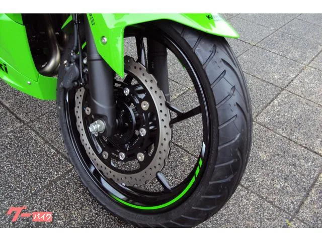 Kawasaki Ninja 250 2024 2024 — миниатюра 3