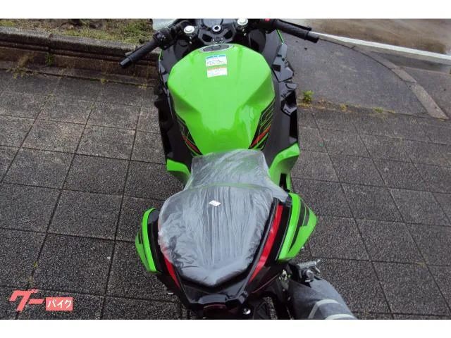 Kawasaki Ninja 250 2024 2024 — миниатюра 4