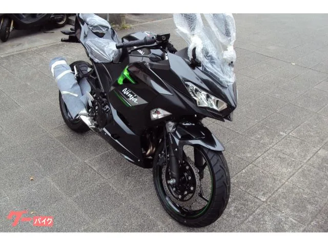Kawasaki Ninja 250 2024 — миниатюра 2