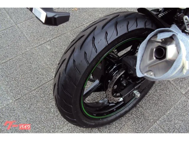 Kawasaki Ninja 250 2024 — миниатюра 3