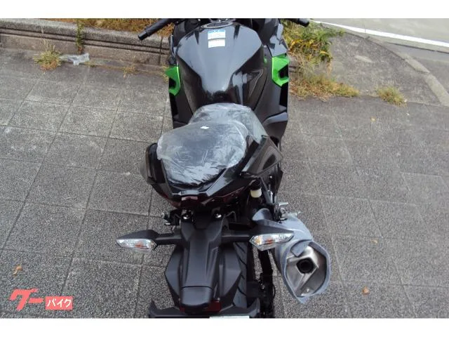 Kawasaki Ninja 250 2024 — миниатюра 4