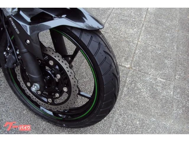 Kawasaki Ninja 250 2024 — миниатюра 5