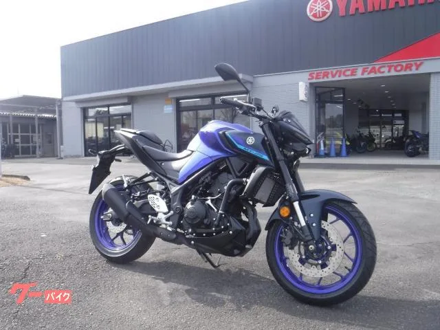 Yamaha MT-25 ABS C 2022 — миниатюра 2