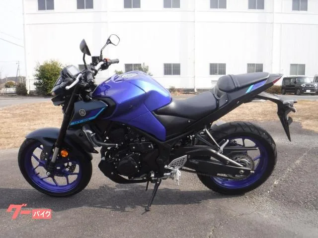 Yamaha MT-25 ABS C 2022 — миниатюра 3