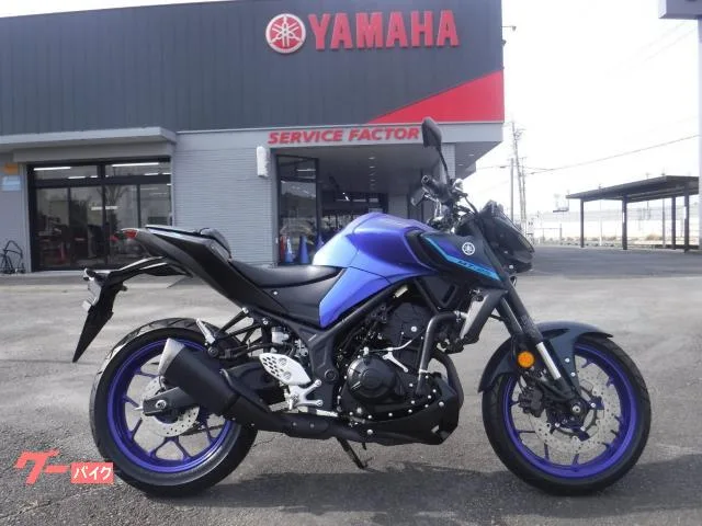 Yamaha MT-25 ABS C 2022 — фото 1, купить с доставкой в Москву