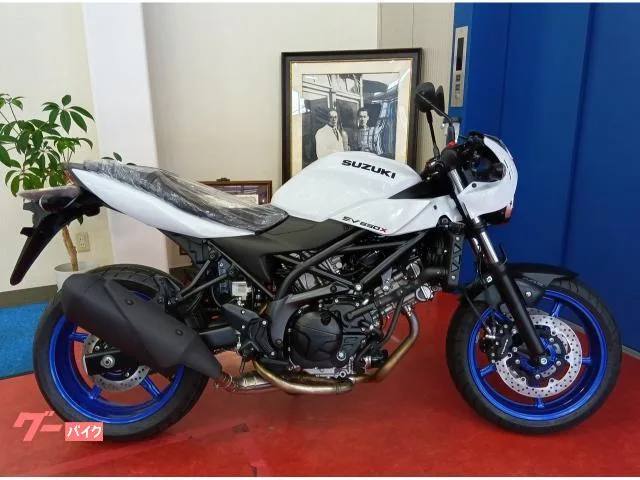 Suzuki SV650X 2025 — фото 1, купить с доставкой в Москву