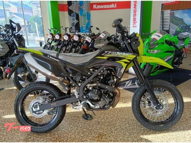 Kawasaki KLX230SM 25-26 2026 — фото 1, купить с доставкой в Москву