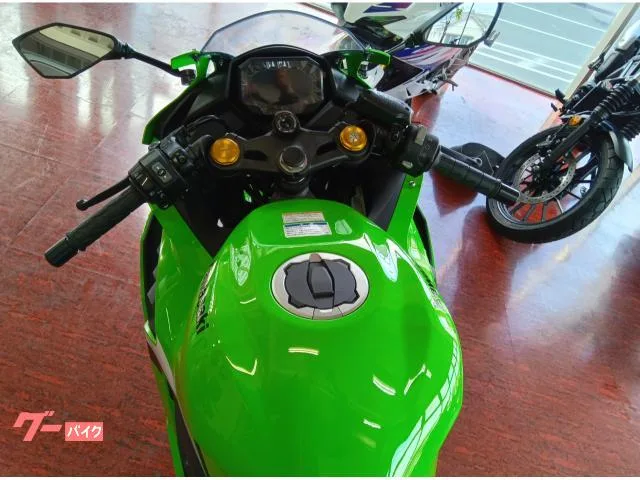 Kawasaki Ninja ZX-25RR 2025 — миниатюра 3