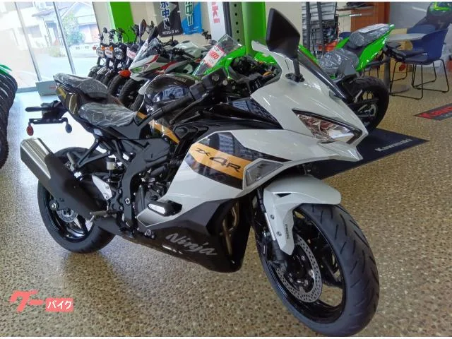 Kawasaki Ninja ZX-4R SE 2026 — миниатюра 2