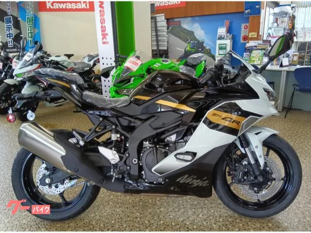 Kawasaki Ninja ZX-4R SE 2026 — фото 1, купить с доставкой в Москву