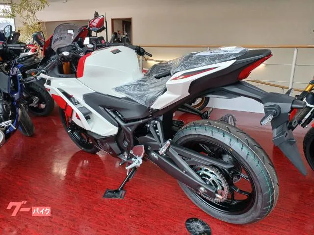 Yamaha YZF-R3 70th Anniversary Edition 2026 — миниатюра 3