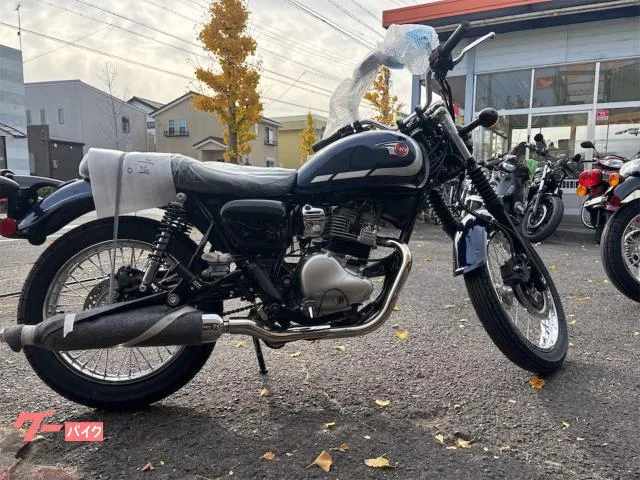 Kawasaki W230 2024 — фото 1, купить с доставкой в Москву