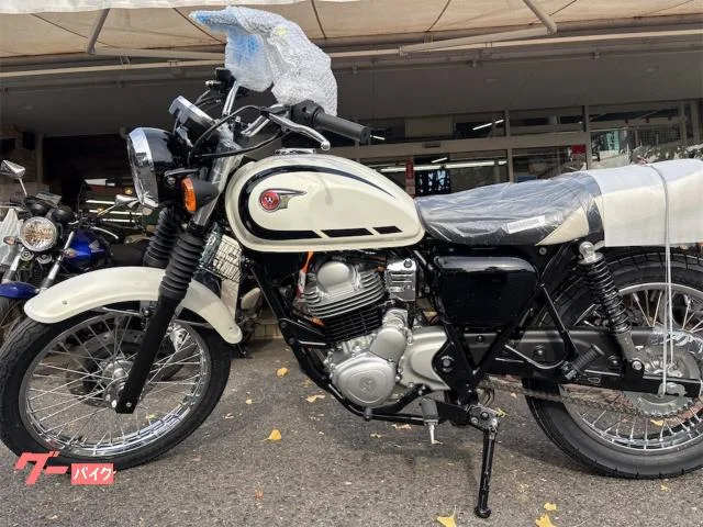 Kawasaki W230 2024 — фото 1, купить с доставкой в Москву