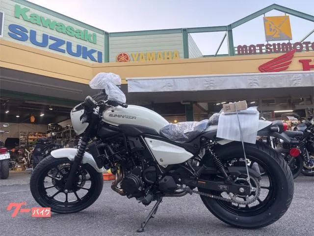 Kawasaki 400SE 2025 — миниатюра 2
