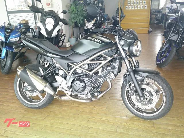 Suzuki SV650 ABS ETC2.0 2025 — фото 1, купить с доставкой в Москву