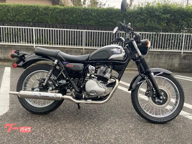 Kawasaki S1 4 LED 2026 — фото 1, купить с доставкой в Москву