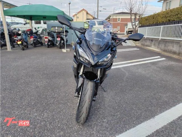 Kawasaki Ninja 1100 SX ETC 2025 — миниатюра 4