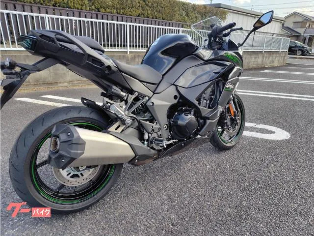 Kawasaki Ninja 1100 SX ETC 2025 — миниатюра 5