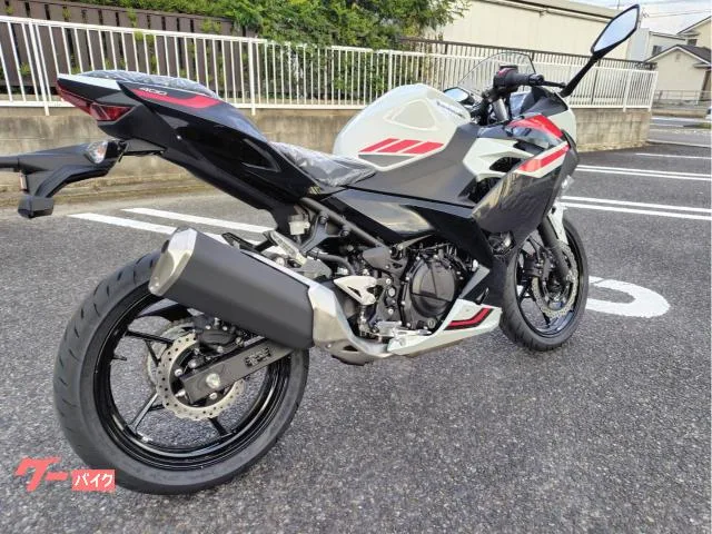 Kawasaki Ninja 400 2026 — миниатюра 5