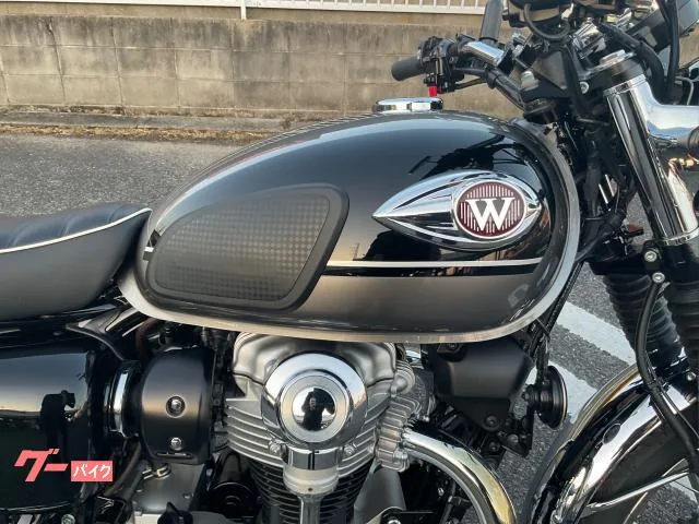 Kawasaki W800 ETC2.0 2024 — миниатюра 4
