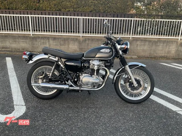 Kawasaki W800 ETC2.0 2024 — фото 1, купить с доставкой в Москву