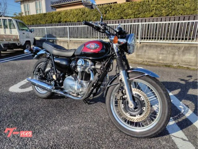 Kawasaki W800 ETC2.0 2024 — миниатюра 2