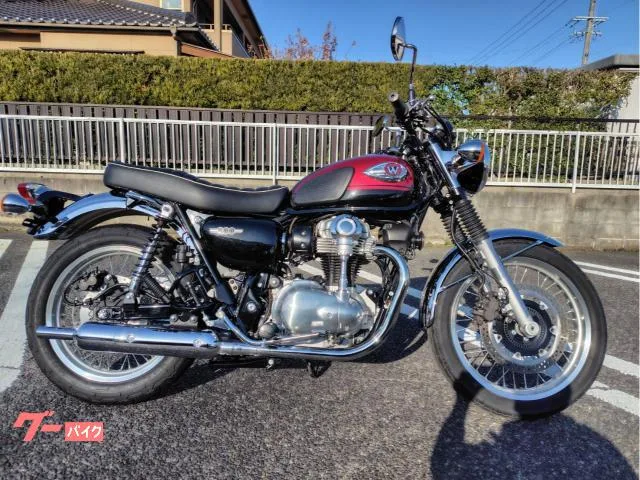 Kawasaki W800 ETC2.0 2024 — фото 1, купить с доставкой в Москву