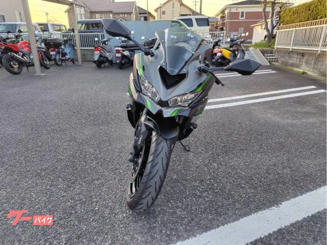 Kawasaki Ninja ZX-4R SE 2024 — миниатюра 4