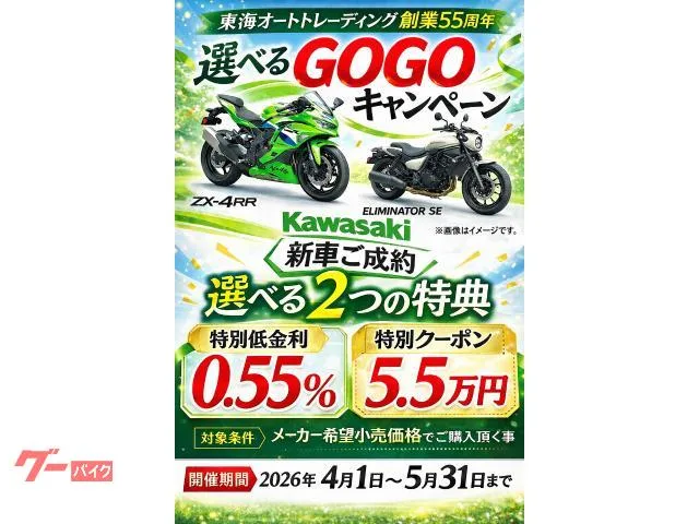 Kawasaki Ninja 250 2026 — миниатюра 3